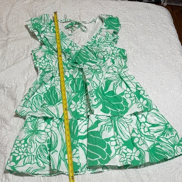 Lilly Pulitzer Ritamarie Ruffle Dress NWT - Picture 5 of 10